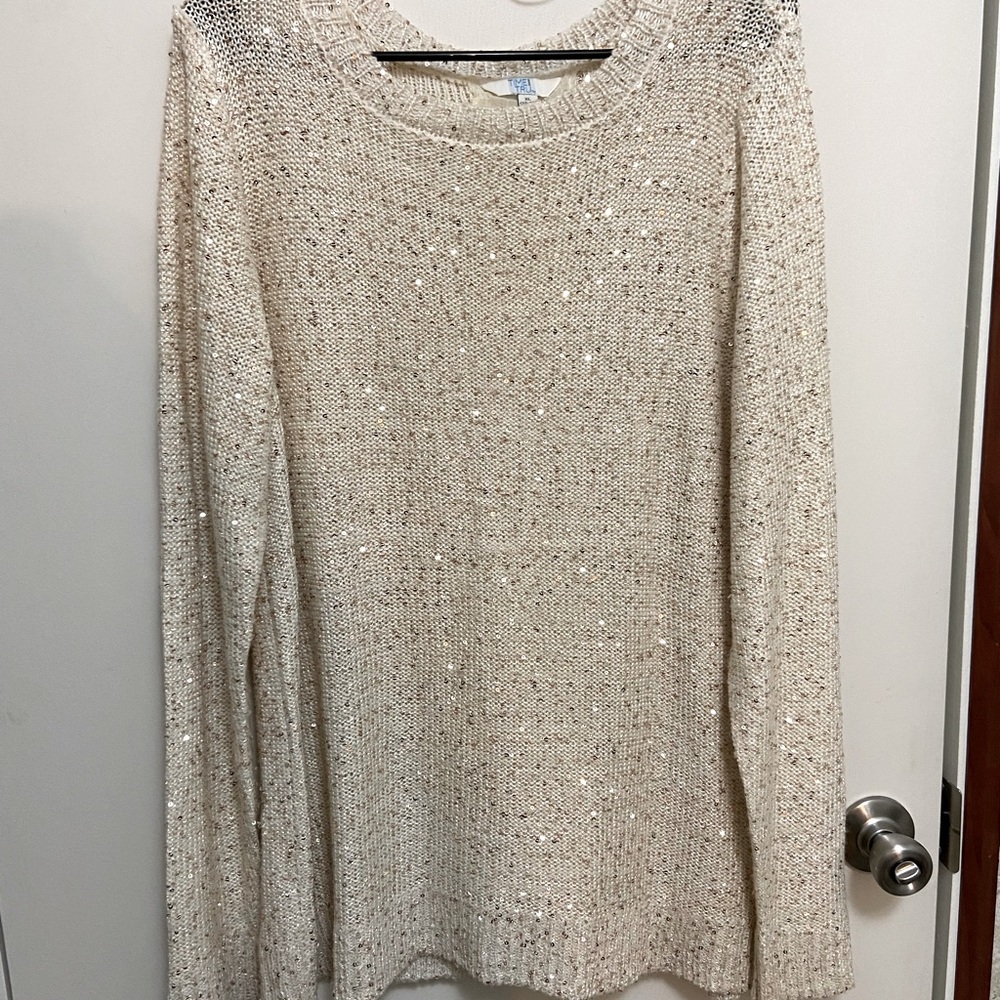 Tunic style sequin sweater